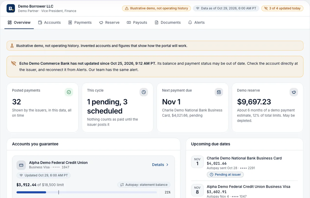Portal overview with demo data: posted and scheduled payments, next payment due and accounts you guarantee.